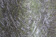 Totternhoe fibreglass roof work